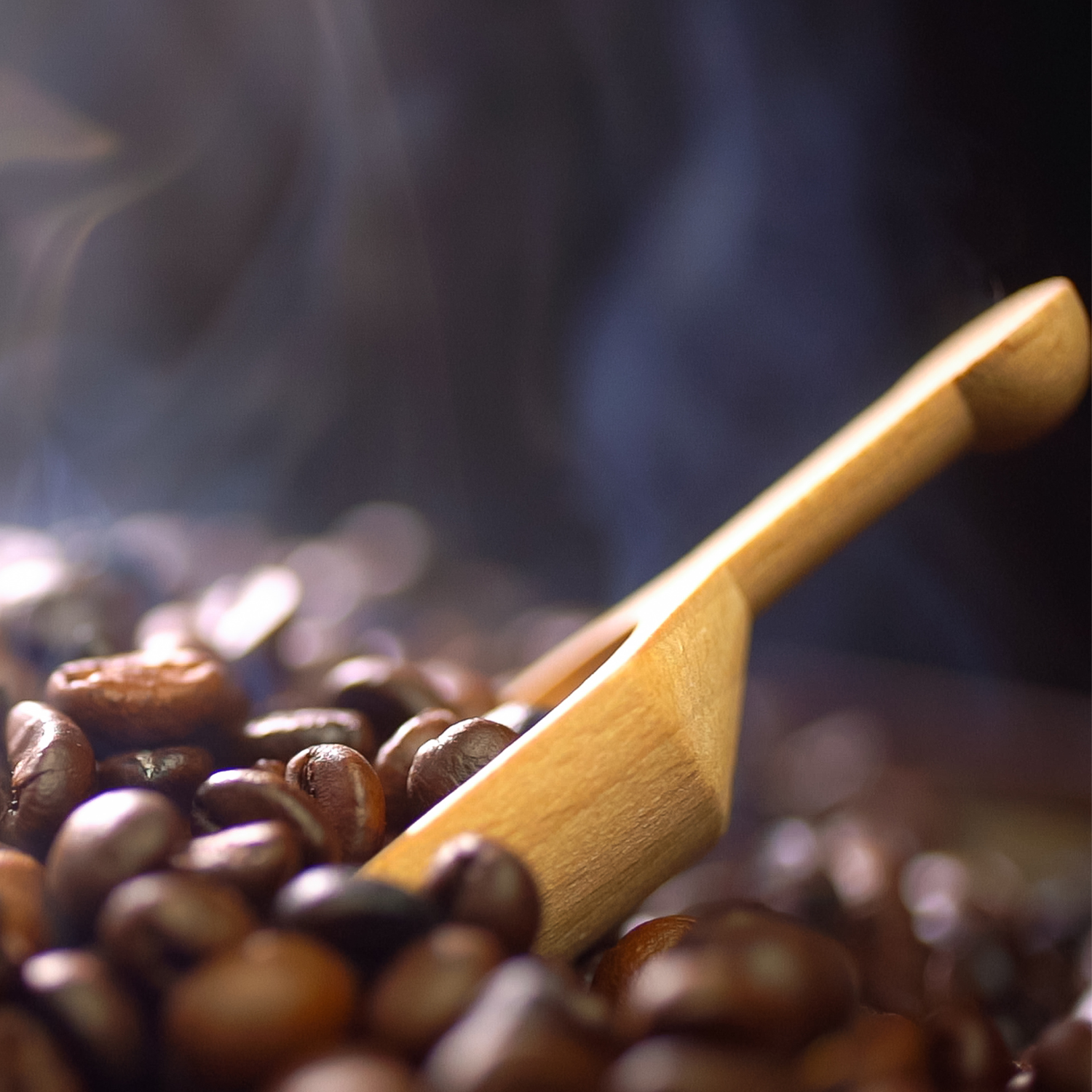 The Art and Science of Coffee Roasting: How We Create Perfect Profiles at Bean Sculpt