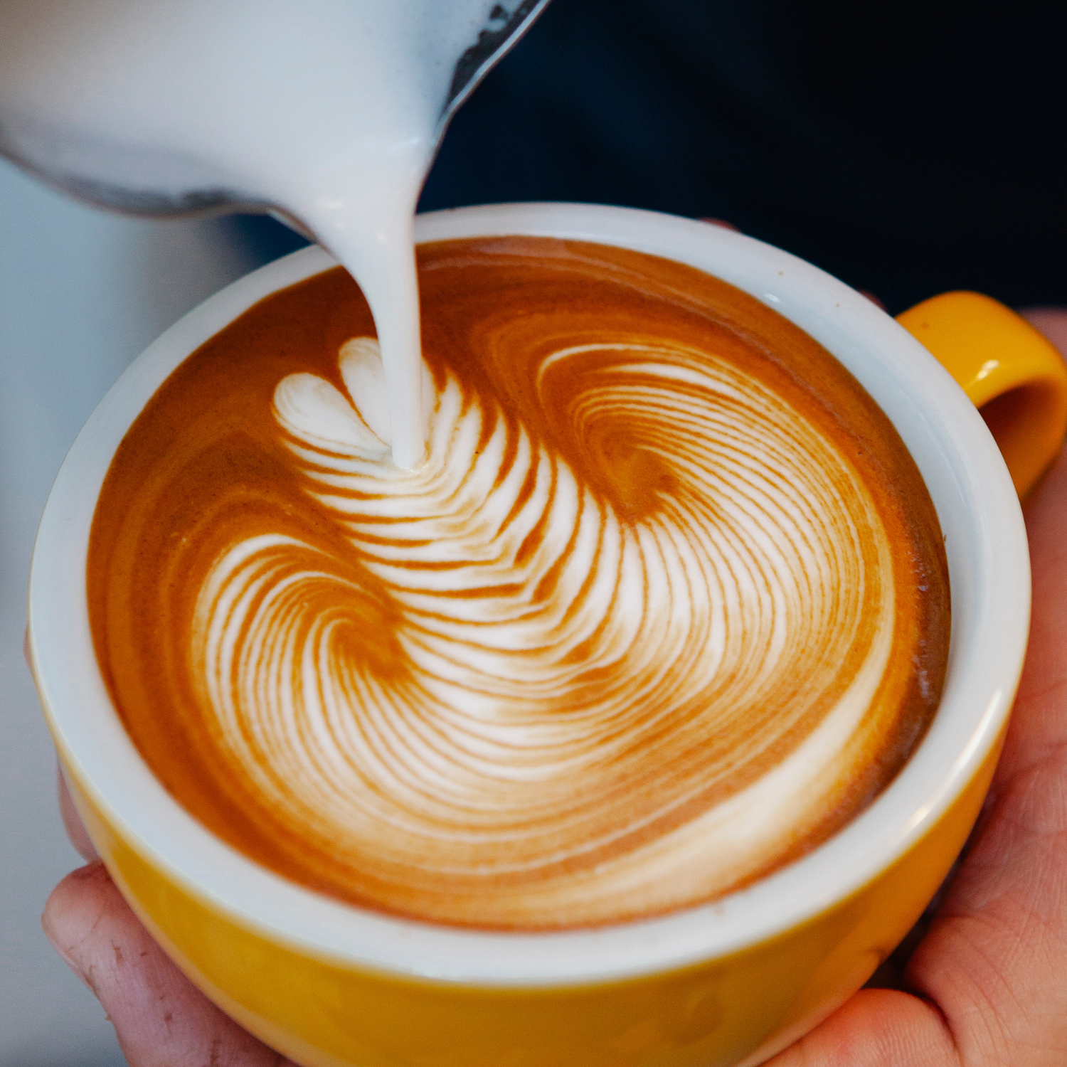 Latte art in action, poured into a yellow cup, creating a beautiful design. Made with a Colombian single-origin decaf coffee, perfect for latte lovers.